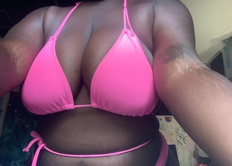 Chy s Place high quality model img