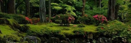 brynn exclusive model pics