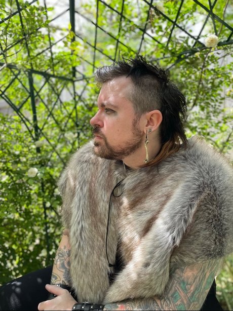 Depeche Ho star free pictures