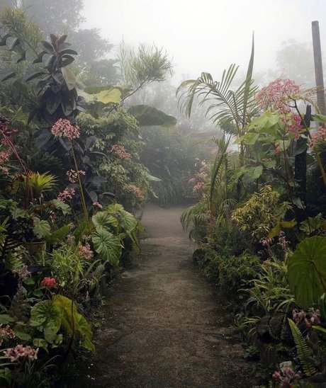 Depeche Ho naked star pictures