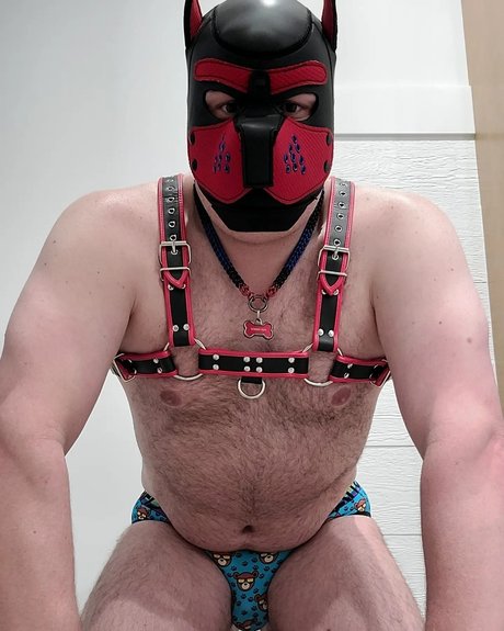 Pup Pouch adult star img
