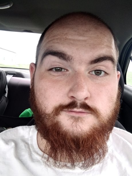 Pumbaa exclusive star images