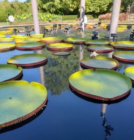 PuckDaddy star erotic archive