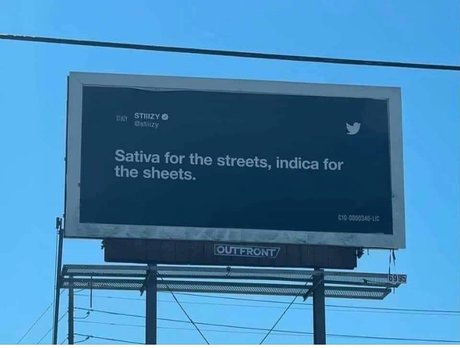 Prohibited nice star pic