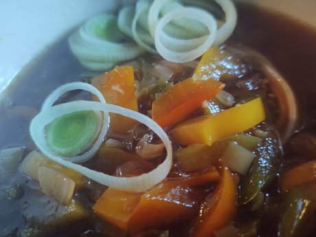 Sailace Rain perfect model img