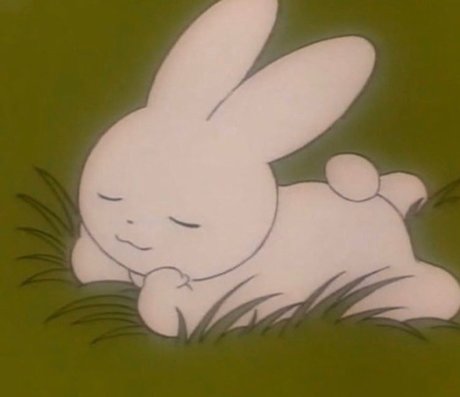 SPICE best pornstar gallery