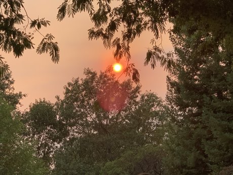 Dis D3x D art actress gallery