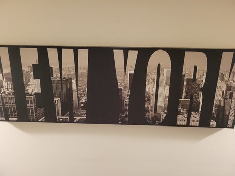 Shanell Turner pornstar top pics