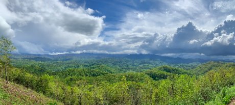 Felix Quartz hd star pictures