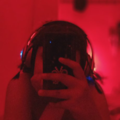 Scisci best model gallery