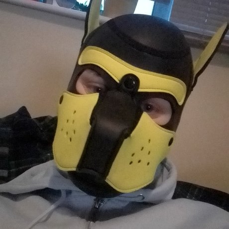 QAURTZ PUP star beautiful archive