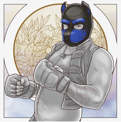 Pup Rogue model nice archive