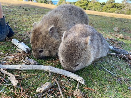 Quirkynaturegirl model best pic