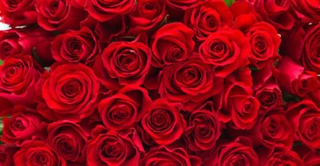 eastafricangoddess beautiful actress picture