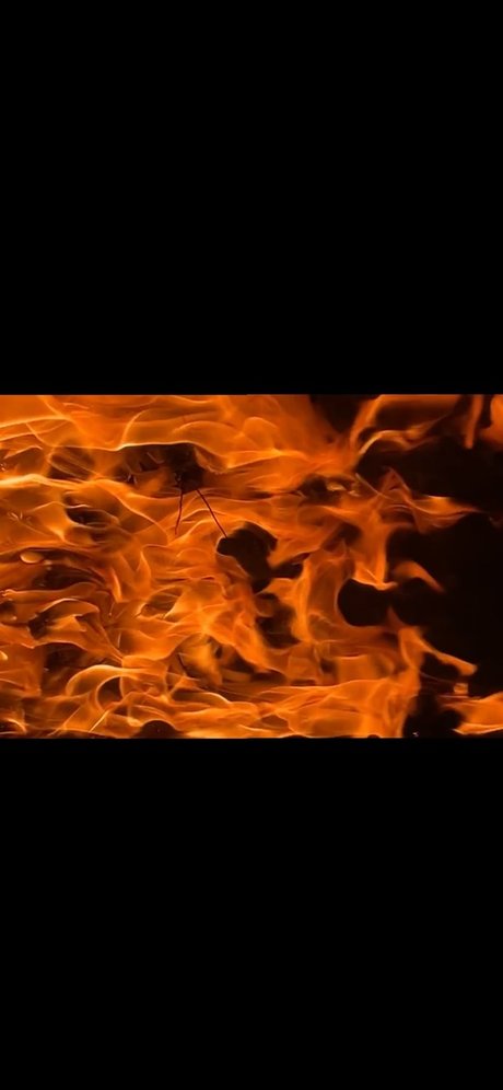 Ecchi Princess_ star pretty pic