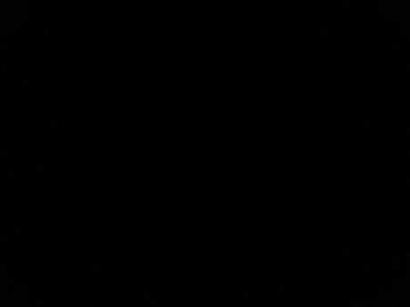 Dany Gomes erotic pornstar pics