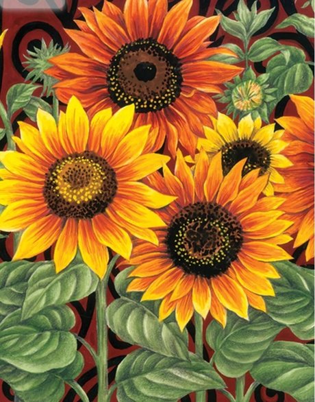 R my hd pornstar pic