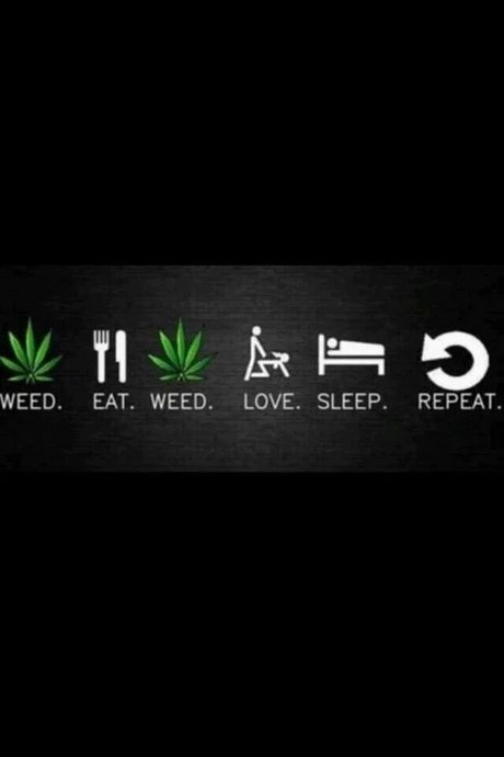 Qmoney252_ pornstar art galleries