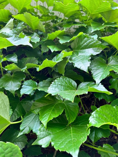 Badru 2 0 model nudes img