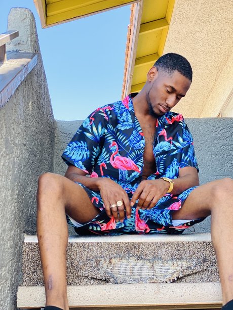 Donn Purkle pornstar hd pic