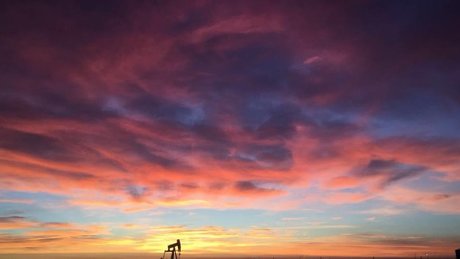 DonnyD perfect actress photo