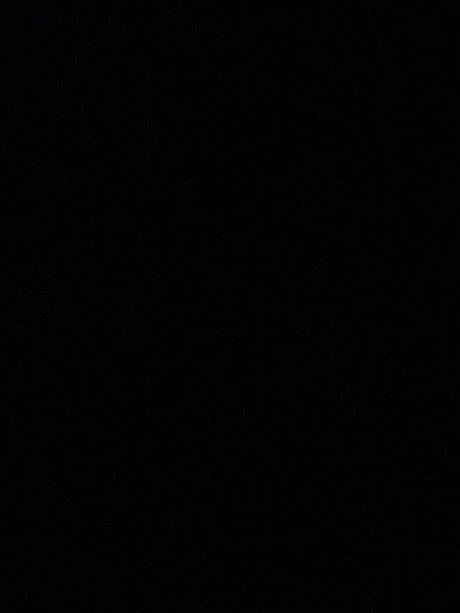 Dex and Mona star top pic