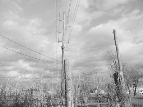 Rainbow kitty_ model nice picture