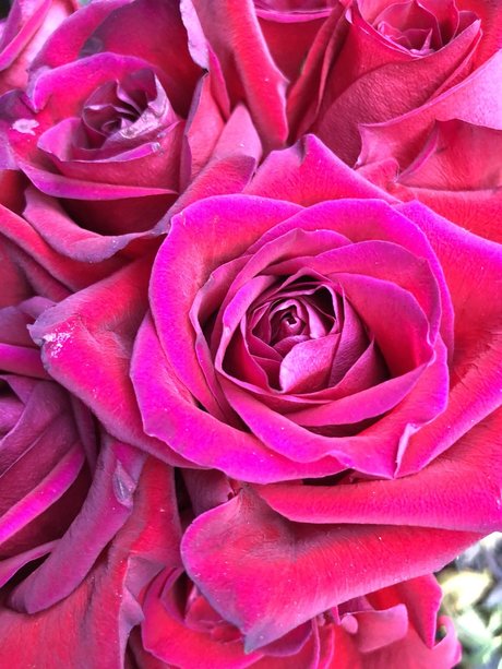 Kay Mella actress pictures