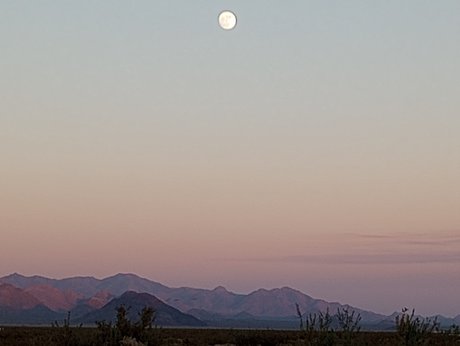 DivineMissAo free actress pictures