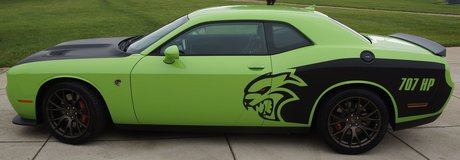 Ryan aultman top star galleries