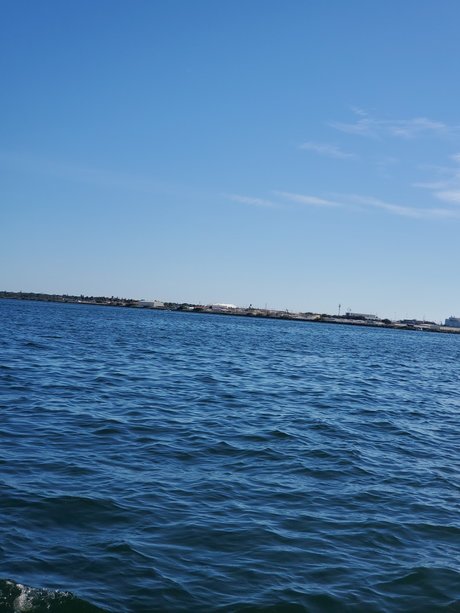 Bill that guy and oh my_ model best photo