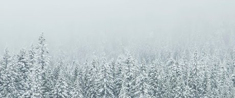 Anton Cash xxx pornstar image