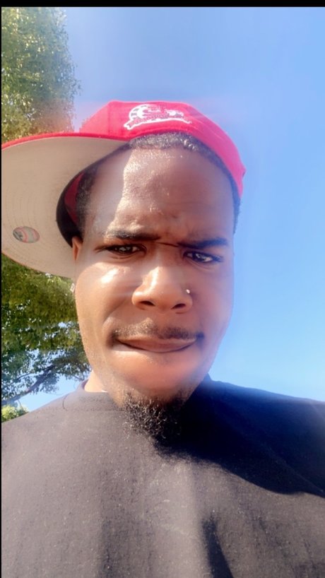 Rex reckless adult star img