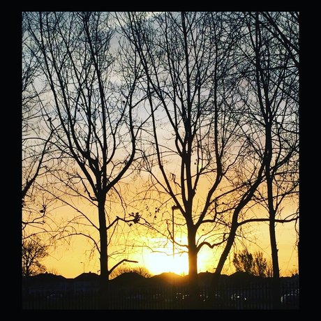 RevolutionBlues free actress image