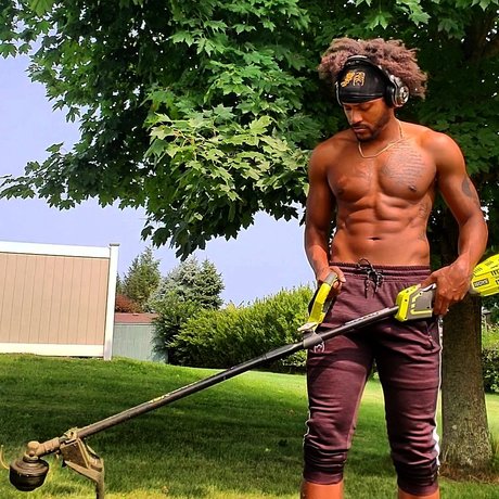 Rek Vahn pretty star img