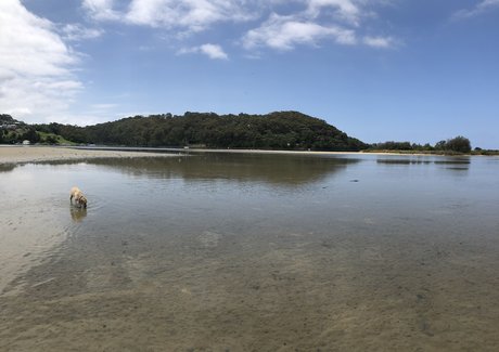 Reece Lowe nice pornstar gallery