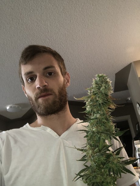 Rollin model high quality archive