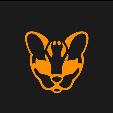 RockerOcelot beautiful star images