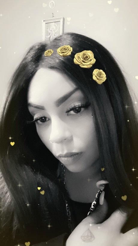 u10089331 exclusive pornstar archive