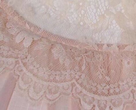 _River Lily_ star free pics