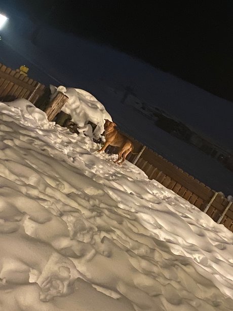 Riiim6 sexy actress pics