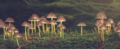 _rue_ high quality model photo