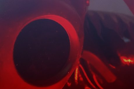 Rubber Lover SAM_ free model photo