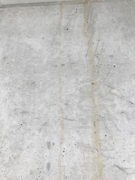 Rauli art model gallery