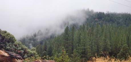 Rosey Thorns hd model pics