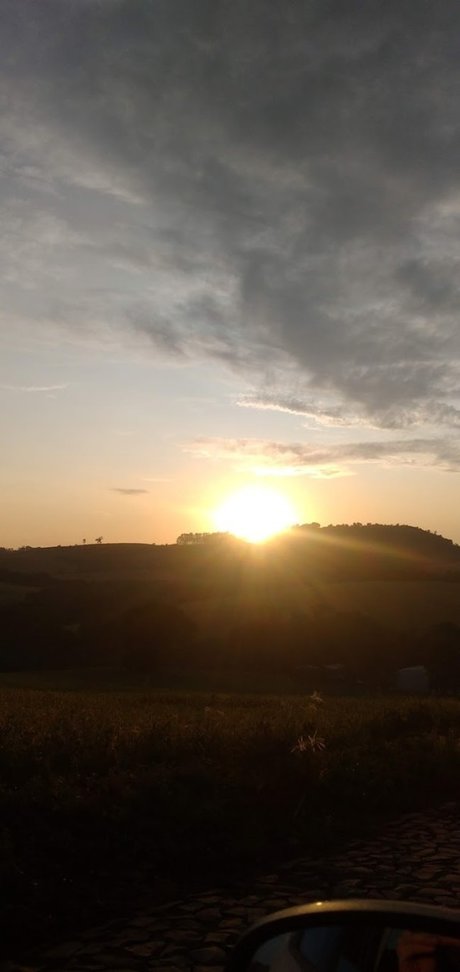 Rose veres star top pictures