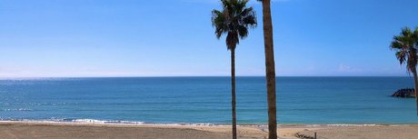 Rose Melle model top images