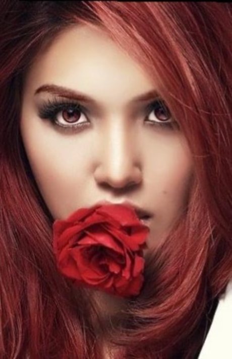 Rose Blush star hd pics