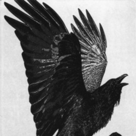 Doom exclusive model images