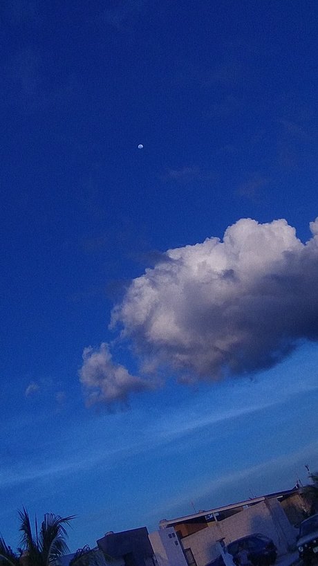 Blue Sky free pornstar galleries